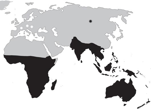 Extant parrot distribution (Old World)