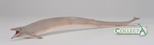 An early whale model - CollectA Basilosaurus