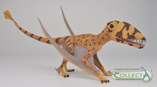 CollectA Dimorphodon pterosaur model.