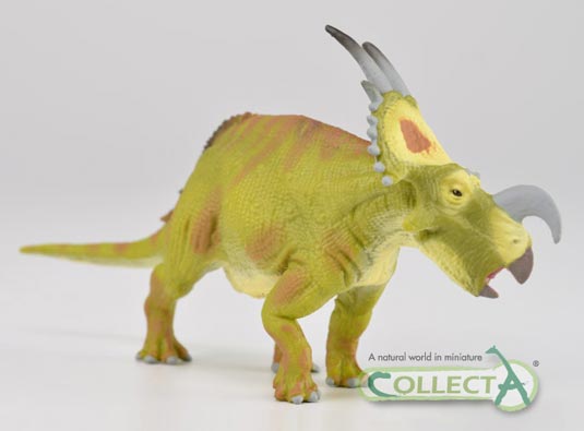 Horned dinosaur model CollectA Einiosaurus.