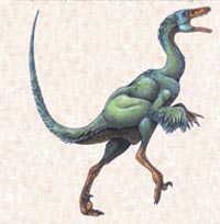 Troodon illustrated.