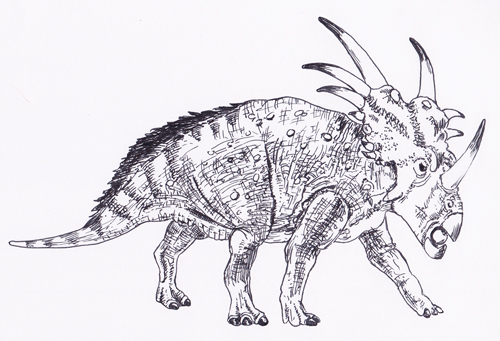 Styracosaurus illustrated.
