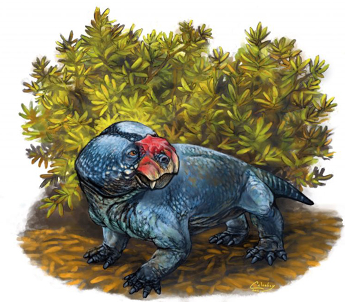 Bulbasaurus illustrated.
