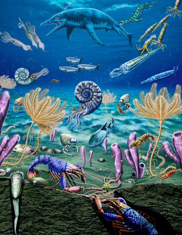 Early Triassic marine fauna.