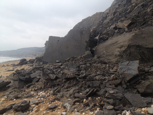 Rock fall at Stonebarrow Hill (Dorset).