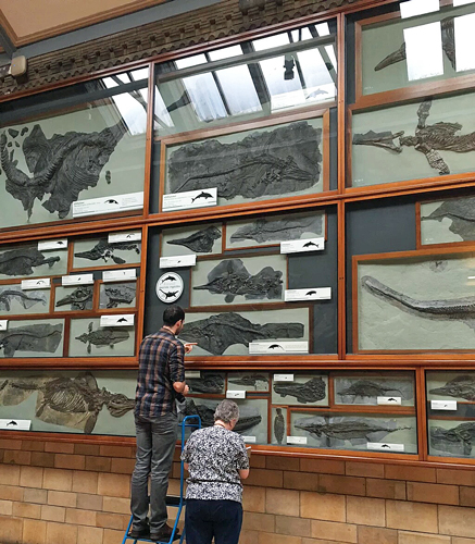 Dean Lomax and Judy Massare examining Ichthyosaur specimens.