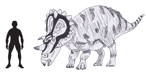 A drawing of the horned dinosaur Regaliceratops.