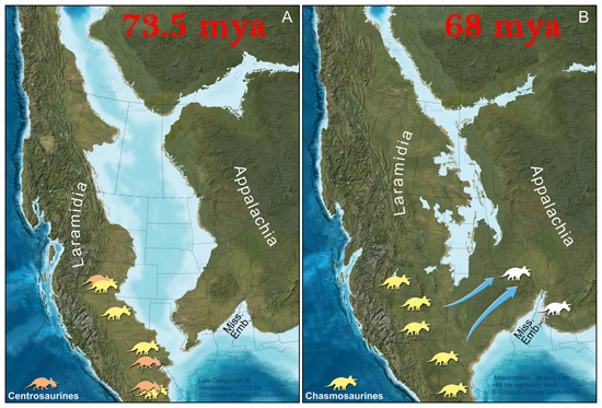 Migrating Chasmosaurine dinosaurs into eastern North America.