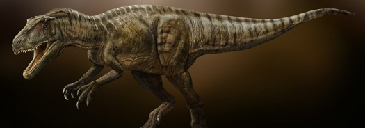 Dinosaur - Sinraptor dongi.
