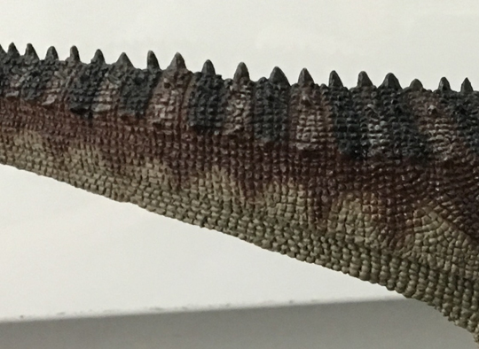 The tail of the Rebor Carnotaurus.