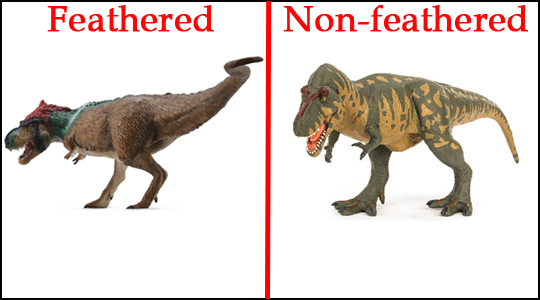 Did T. rex have feathers?