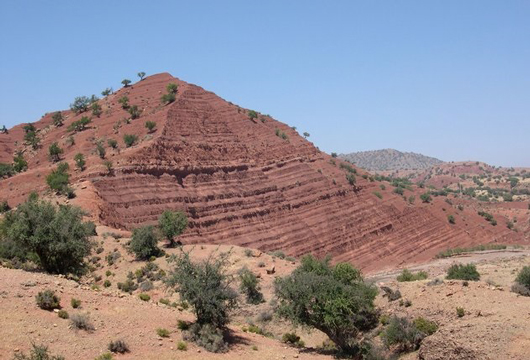 Late Triassic sediments (Morocco).