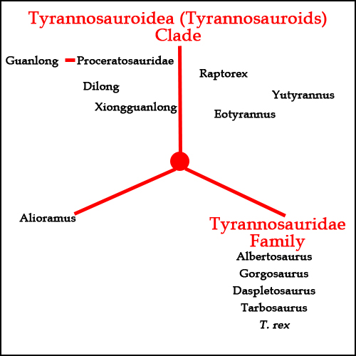 Tyrannosauroids and Tyrannosauridae members.