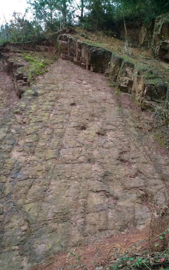 Dinosaur tracks from south-western China.