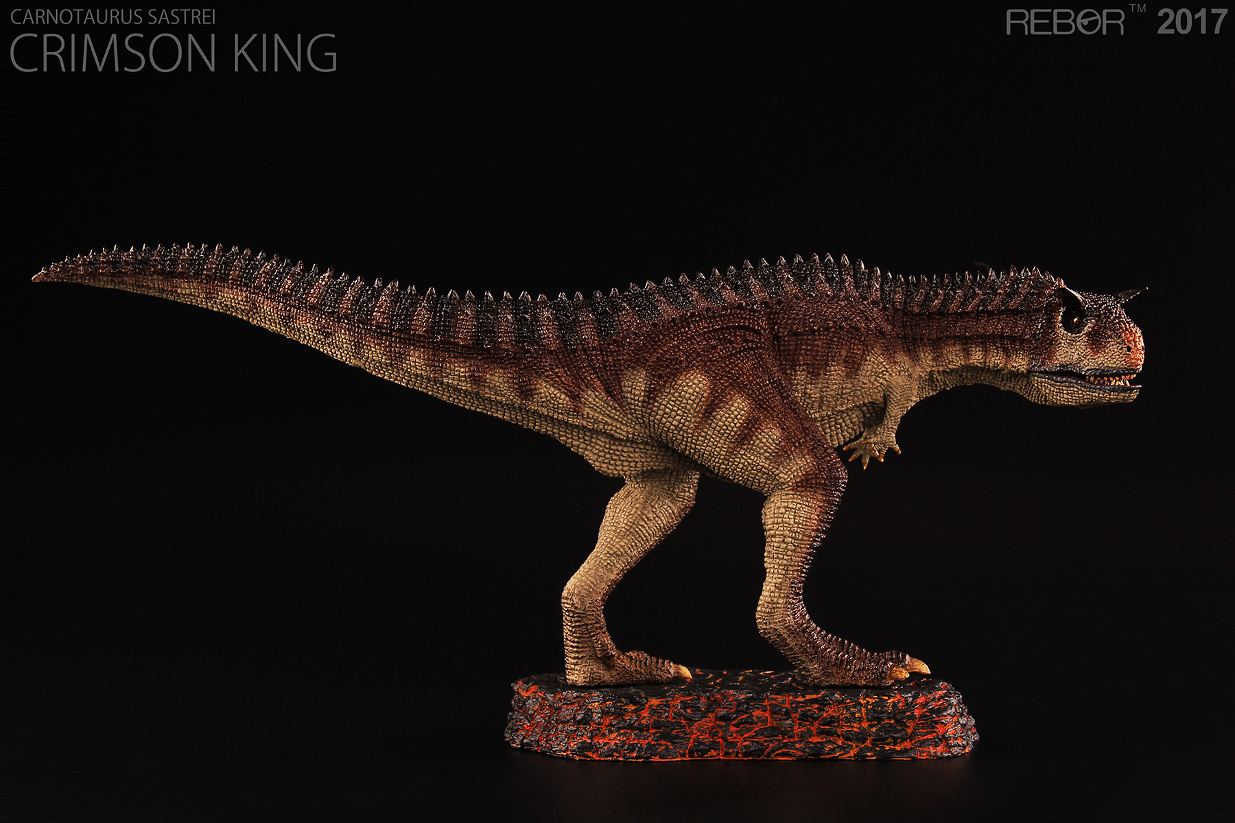 Rebor Carnotaurus dinosaur model.