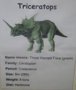 Triceratops mistakes!