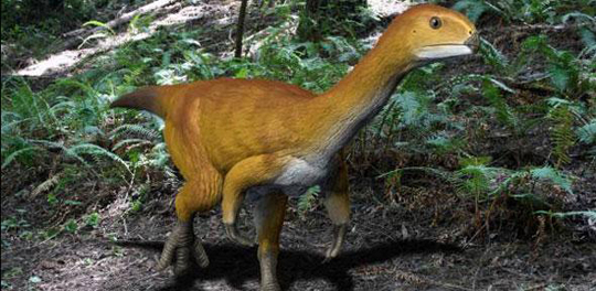 Chilesaurus illustration.
