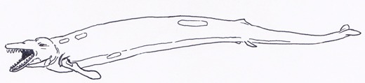 CollectA Basilosaurus illustration.