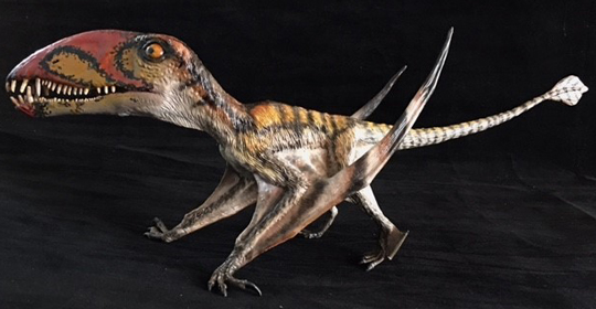 A repainted CollectA Dimorphodon model.