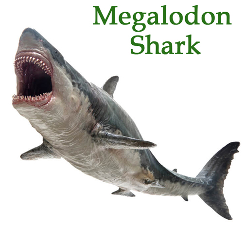 Megalodon replica from the PNSO Age of Dinosaurs range.