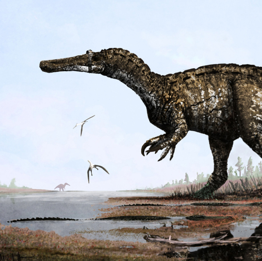 Baryonyx walkeri strides through a swamp watched by wary Goniopholis.