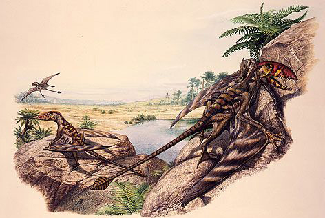 Dimorphodon illustration (John Sibbick).