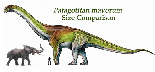 Patagotitan size comparison.
