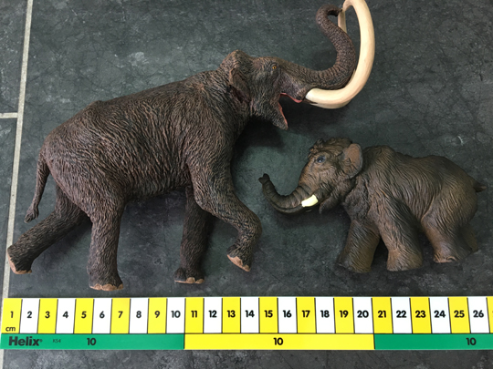 Comparing a Steppe Mammoth model to a Papo Woolly Mammoth juvenile.
