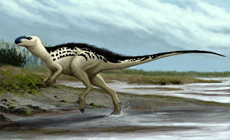 Burianosaurus augustai illustrated.