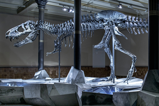"Tristan" Tyrannosaurus rex on display (Berlin).