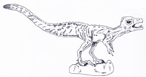 Sciurumimus drawing.