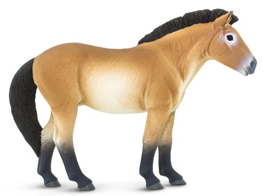 Przewalski's horse figure.