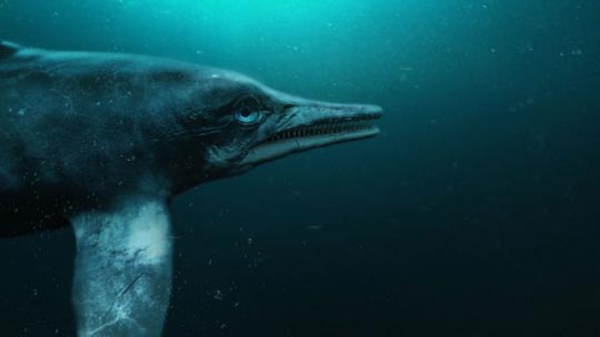 A monster of the deep - Ichthyosaurus.