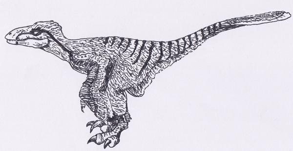 Maniraptor illustration (dromaeosaurid).