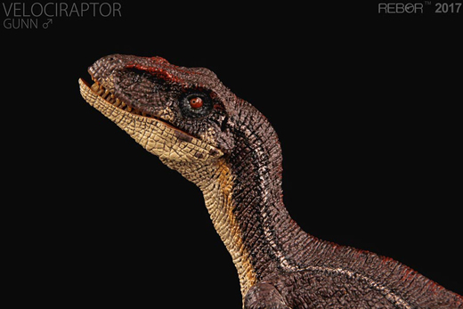 The Rebor Velociraptor figure "Gunn".