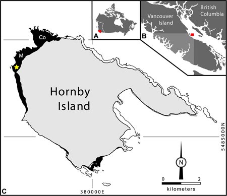 The location of Hornby Island and the fossil site.