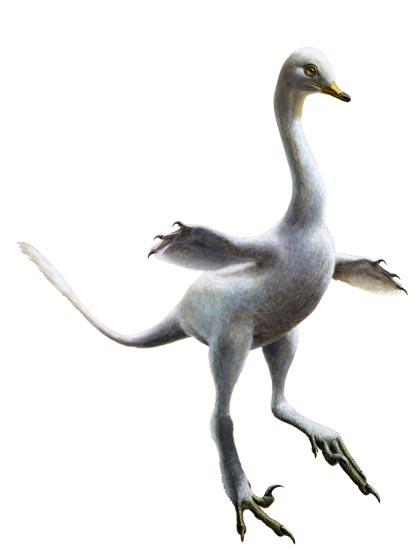 An illustration of Halszkaraptor escuilliei.