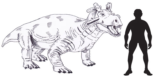 Estemmenosuchus scale drawing.