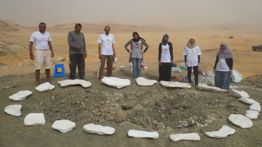 Mansoura University field team members pose next to the plaster-jacketed remains of Mansourasaurus.