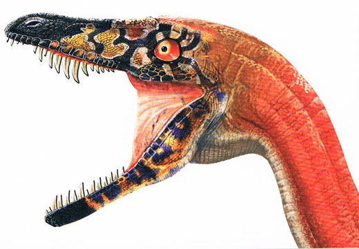 A Velociraptor drawing.