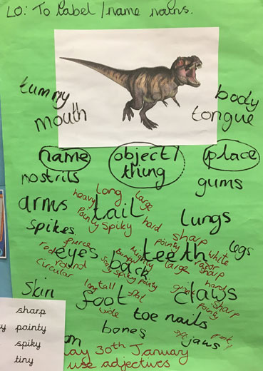 Dinosaurs and describing words.