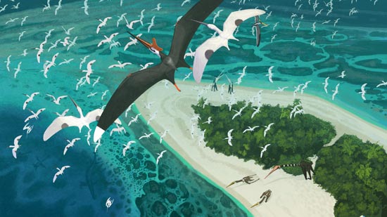 Pterosaurs of the Late Cretaceous (Morocco).
