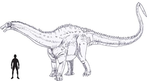 Drawing of Brontosaurus.