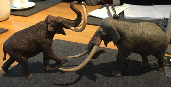The Eofauna Straight-tusked elephant the Steppe Mammoth model.