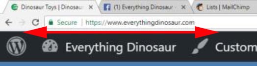 The padlock and HTTPS at Everything Dinosaur.