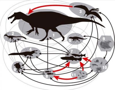 Dinosaur and Other Prehistoric Animal Food Webs Biology Diagrams