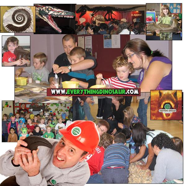 Everything Dinosaur and fossil workshops.