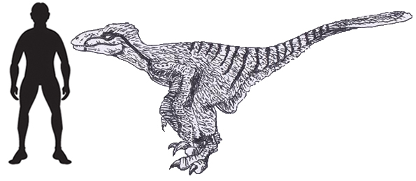 Deinonychus life reconstruction (2017). Deinonychus versus Tenontosaurus.