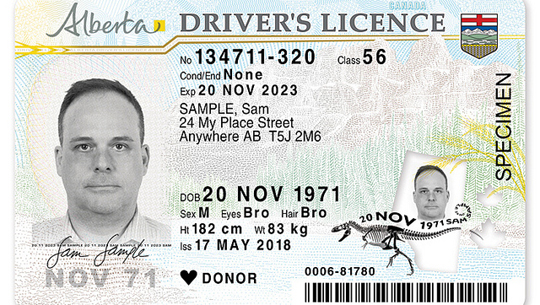 Albertosaurus features on driving licence.