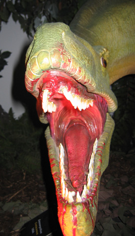 A tongue-tied dinosaur.